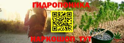 дживик Гай