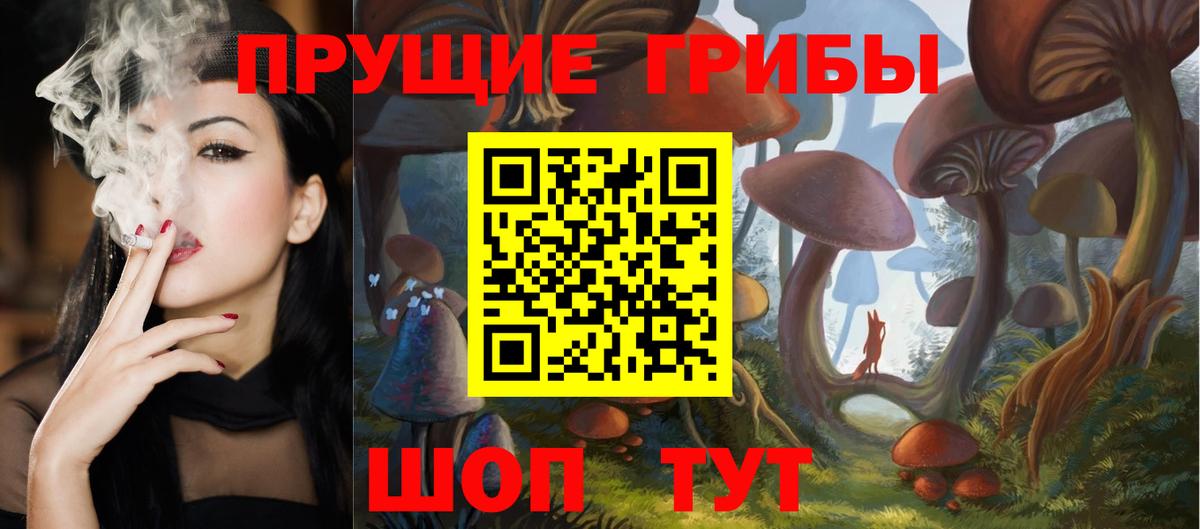 Мытищи  Псилоцибиновые грибы прущие грибы  Вход с VPN 